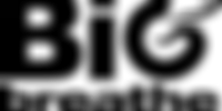 BigBreathe Logo